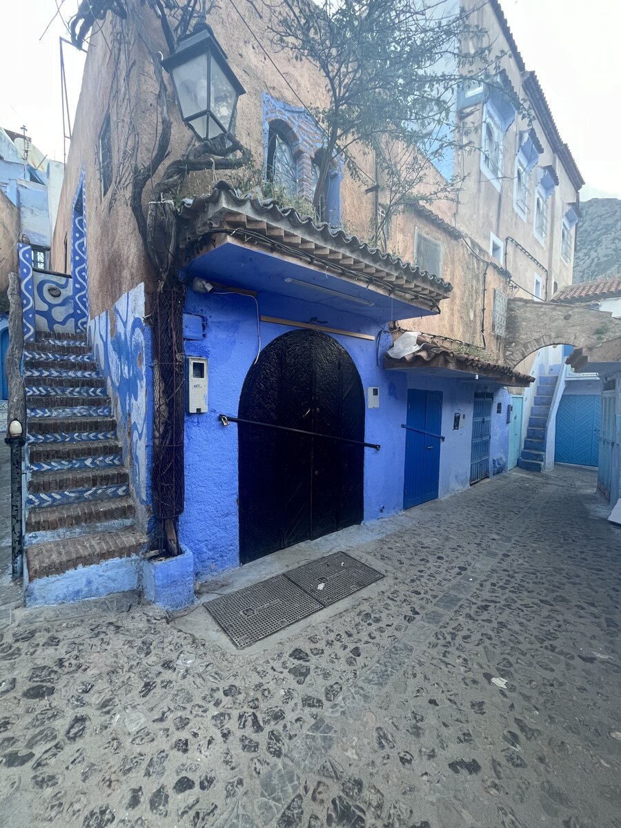 Galeria